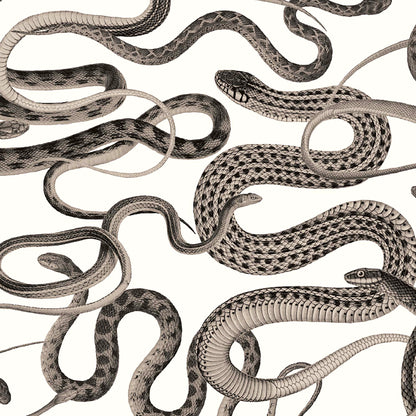 Snakes On A Plane Charcoal Wallpaper