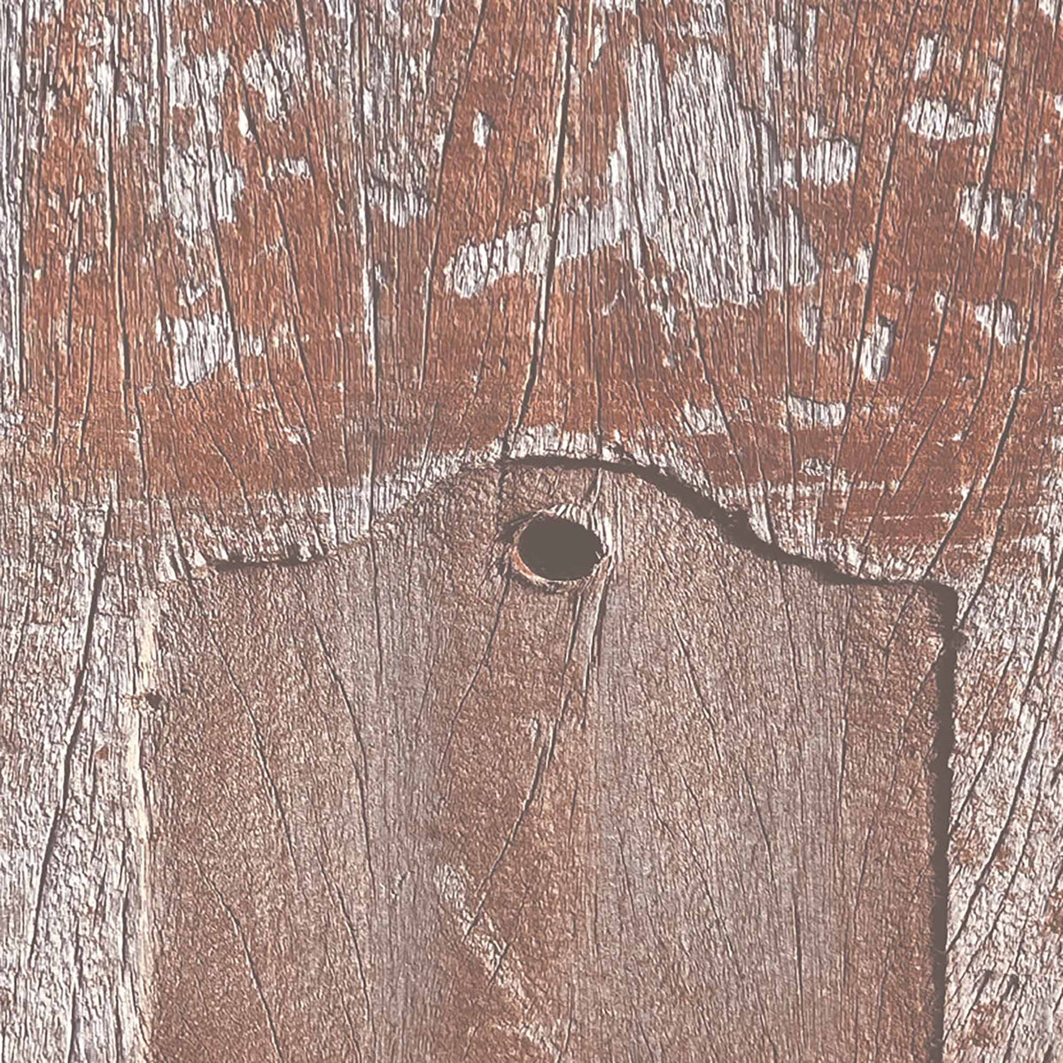 Driftwood Plank Rust Wallpaper