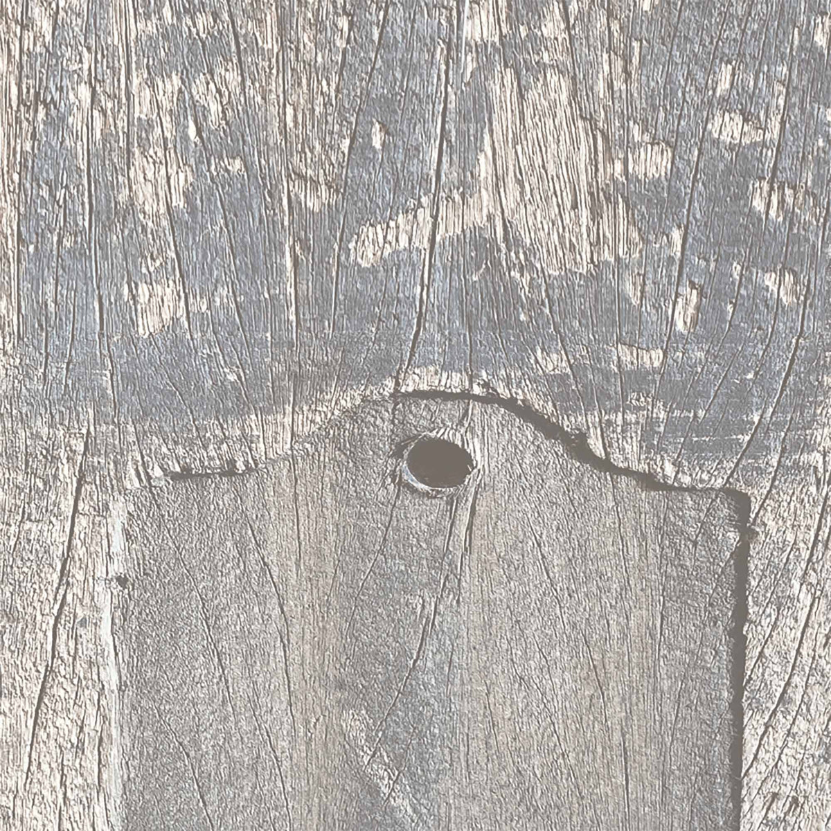 Driftwood Plank Pebble Grey Wallpaper