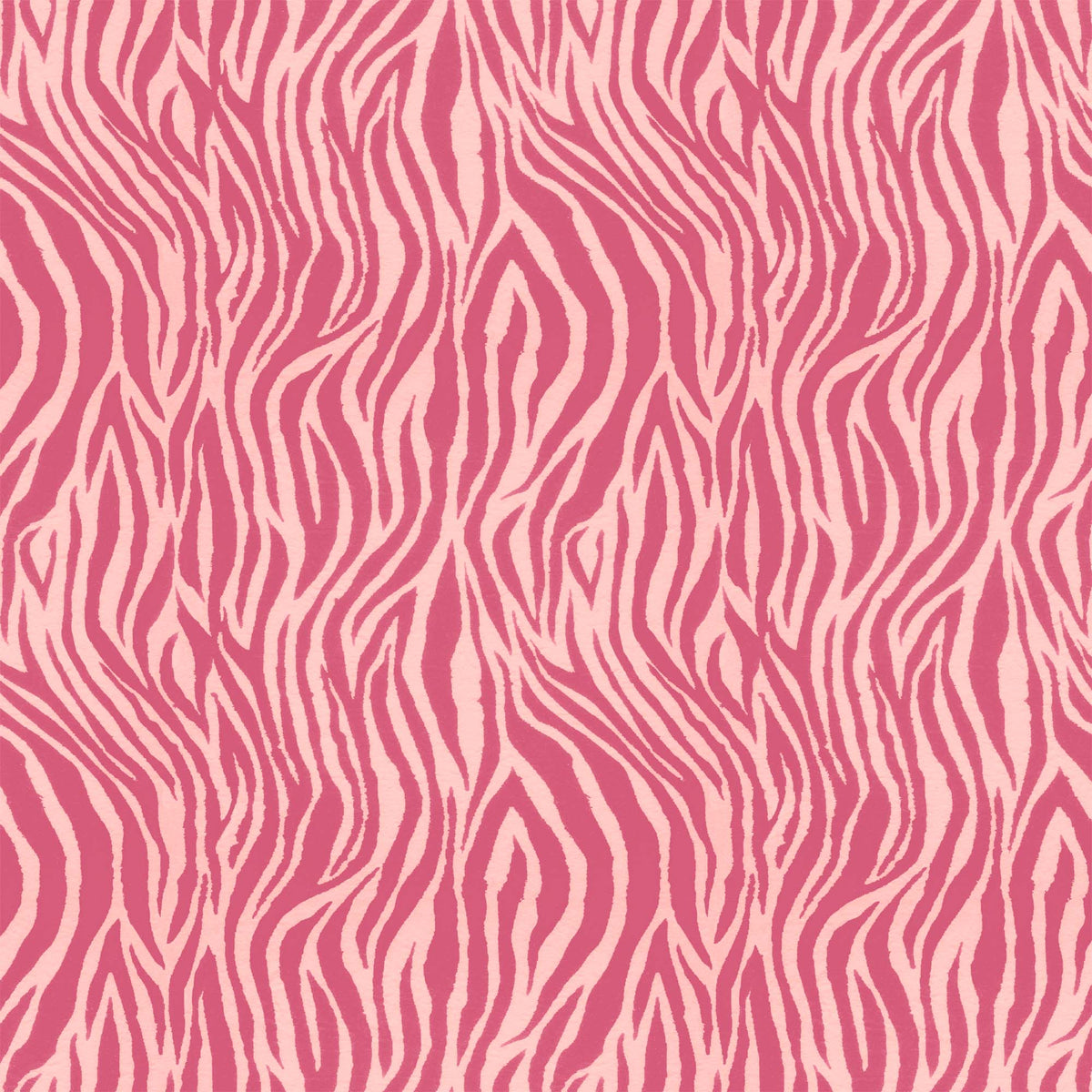 Debra Zebra Pink on Pink Wallpaper