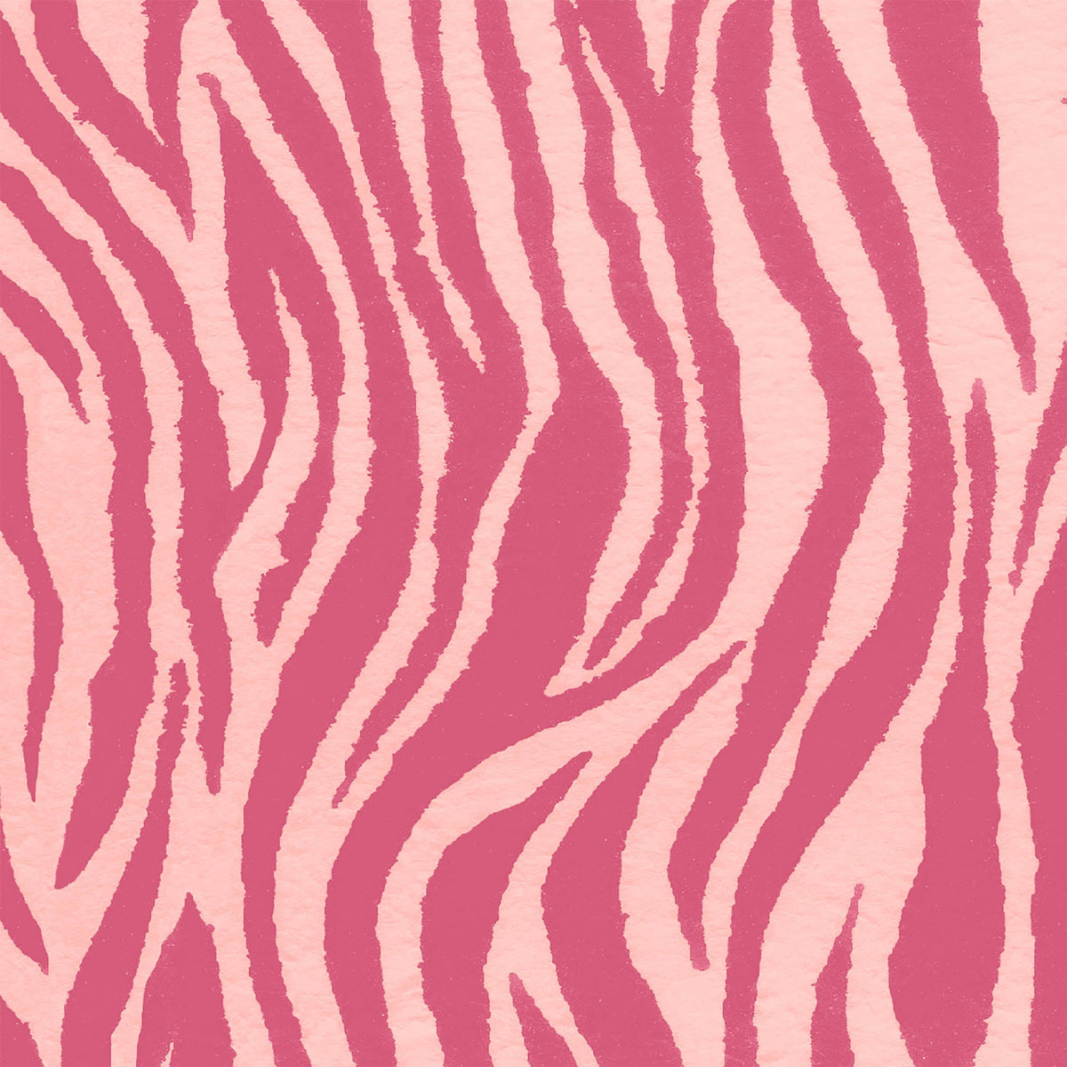 Debra Zebra Pink on Pink Wallpaper
