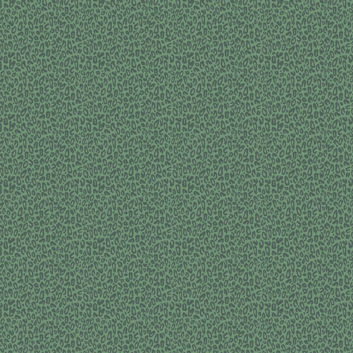 Kitten Moss Wallpaper