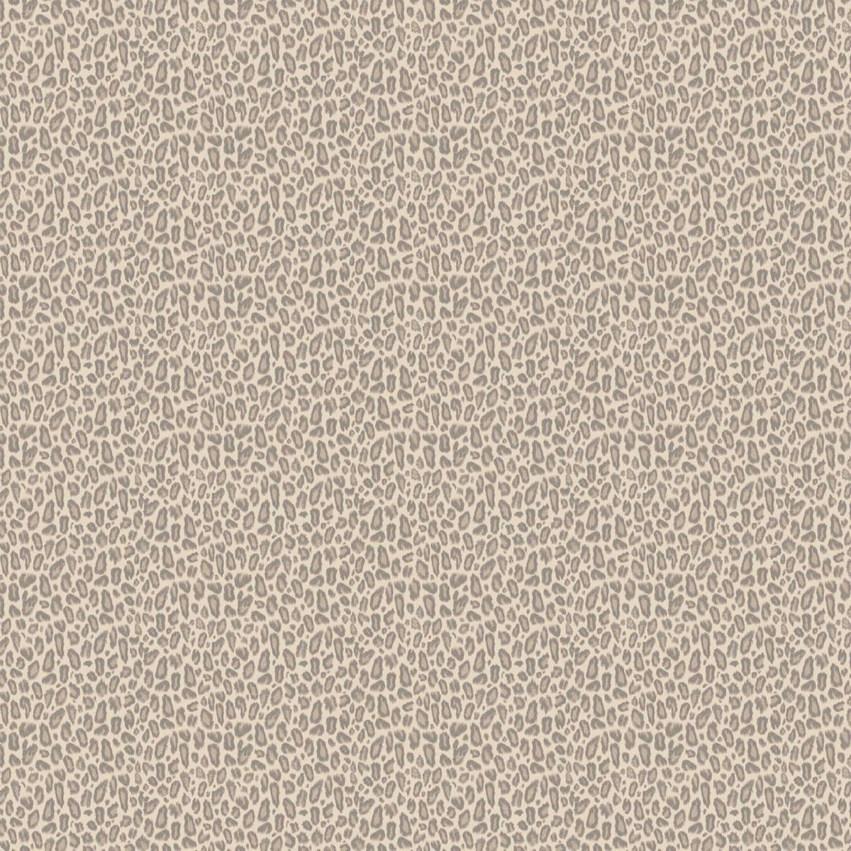 Kitten Oyster Wallpaper