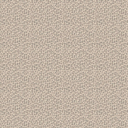 Kitten Oyster Wallpaper