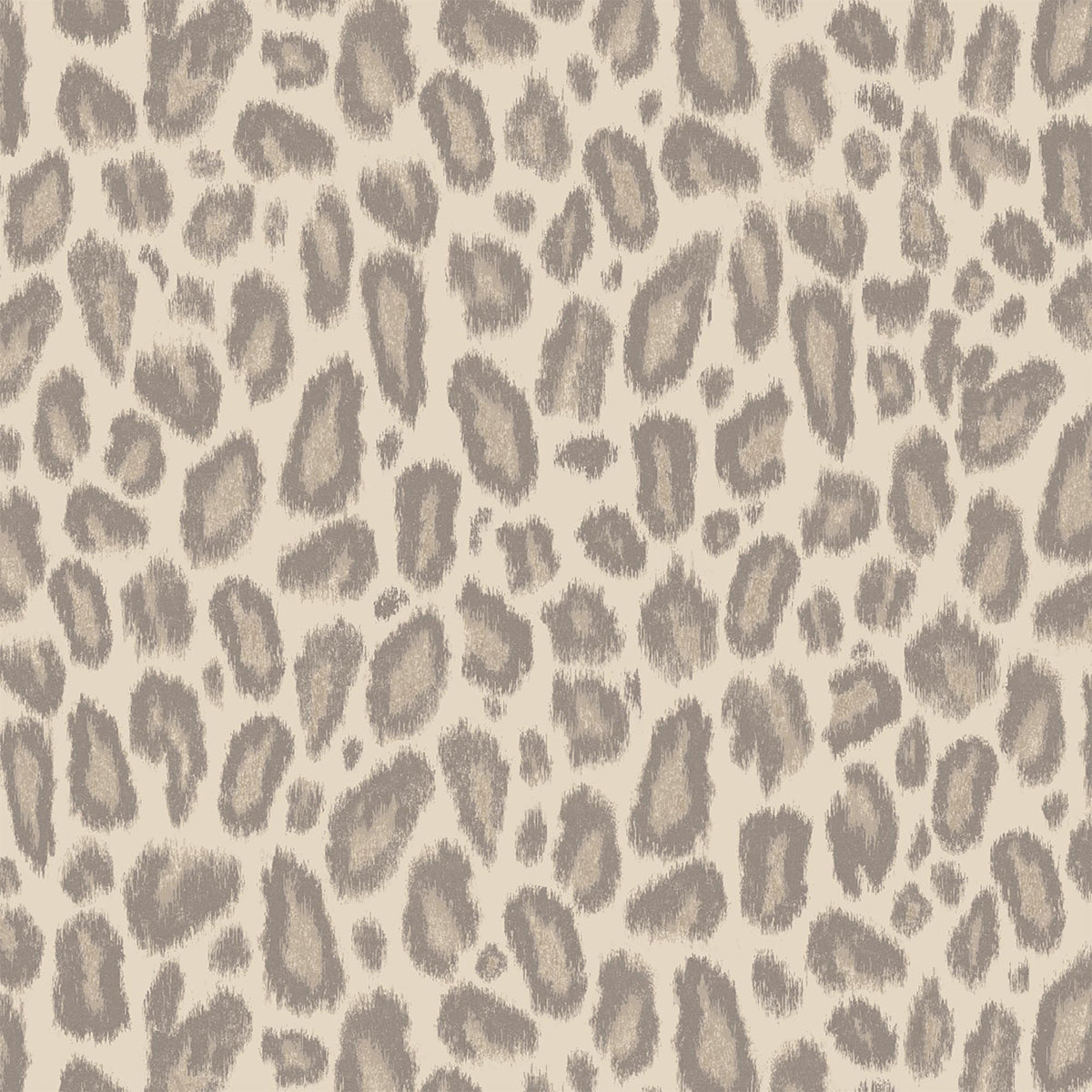 Kitten Oyster Wallpaper