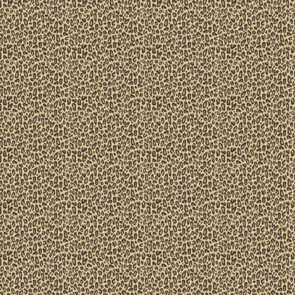 Kitten Tawny Wallpaper