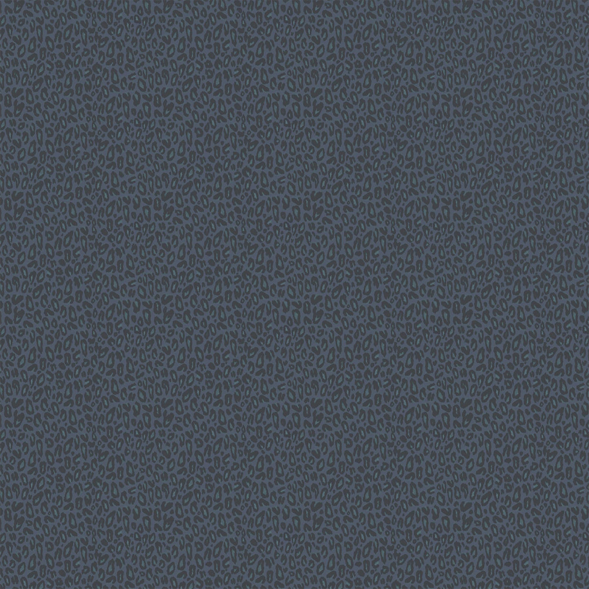 Kitten Navy Wallpaper