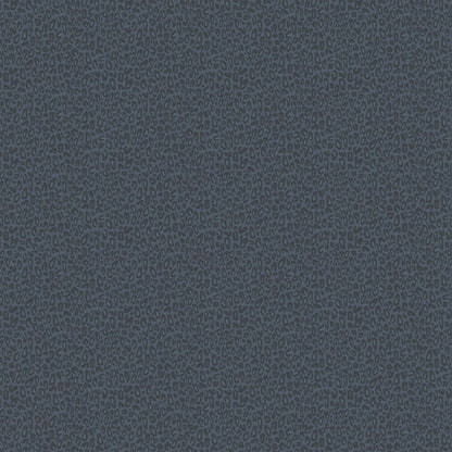 Kitten Navy Wallpaper
