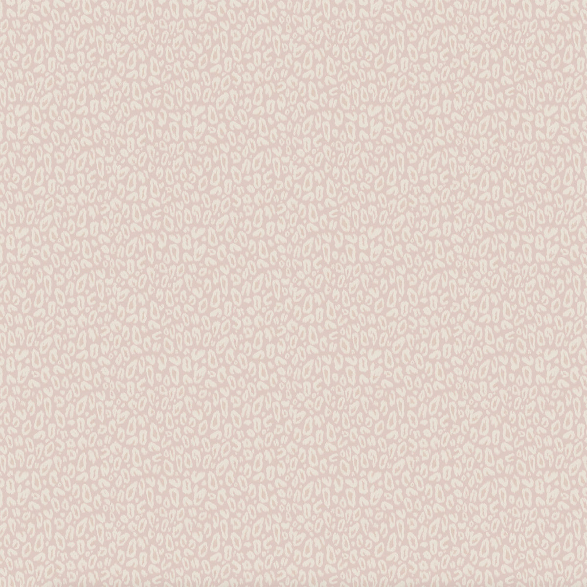 Kitten Powder Pink Wallpaper