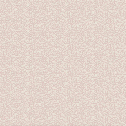 Kitten Powder Pink Wallpaper