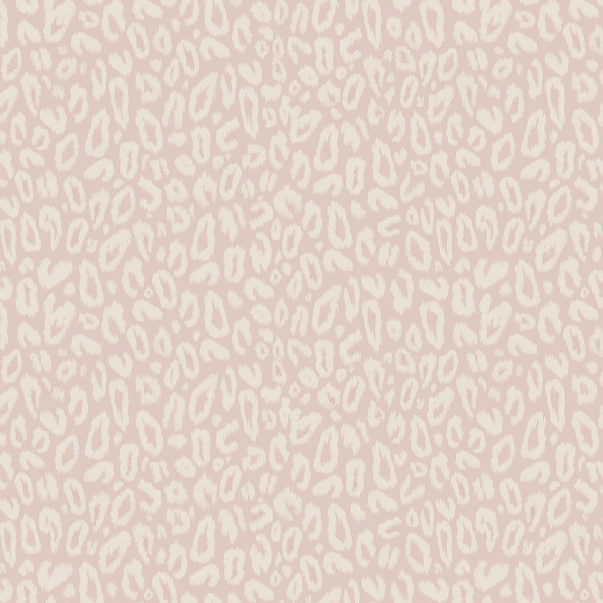 Kitten Powder Pink Wallpaper