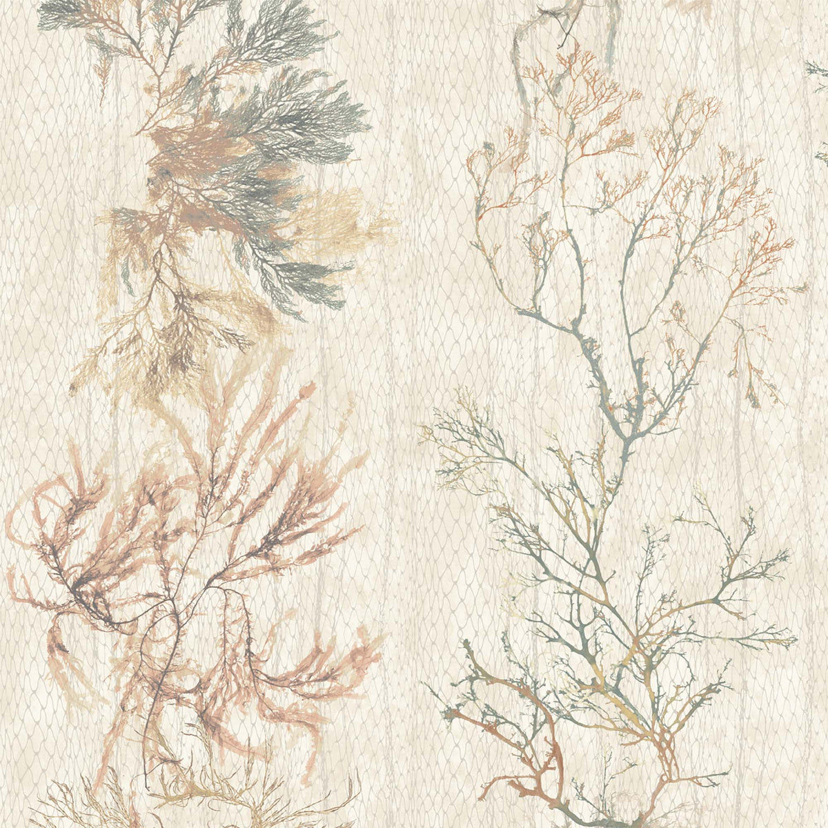 Seagrass Seaweed Stripe Oyster Wallpaper