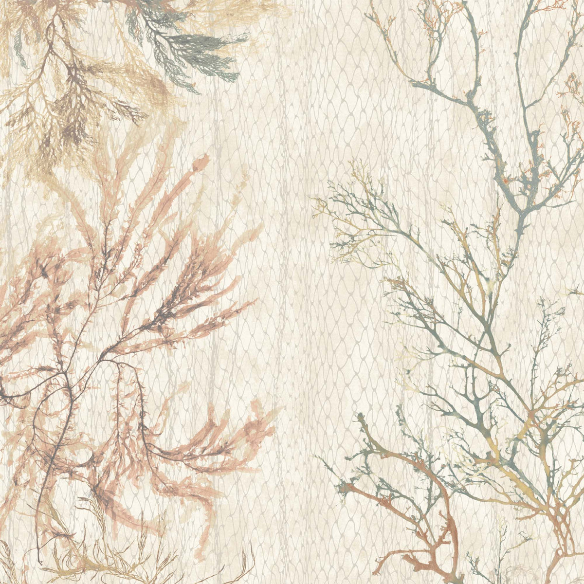 Seagrass Seaweed Stripe Oyster Wallpaper