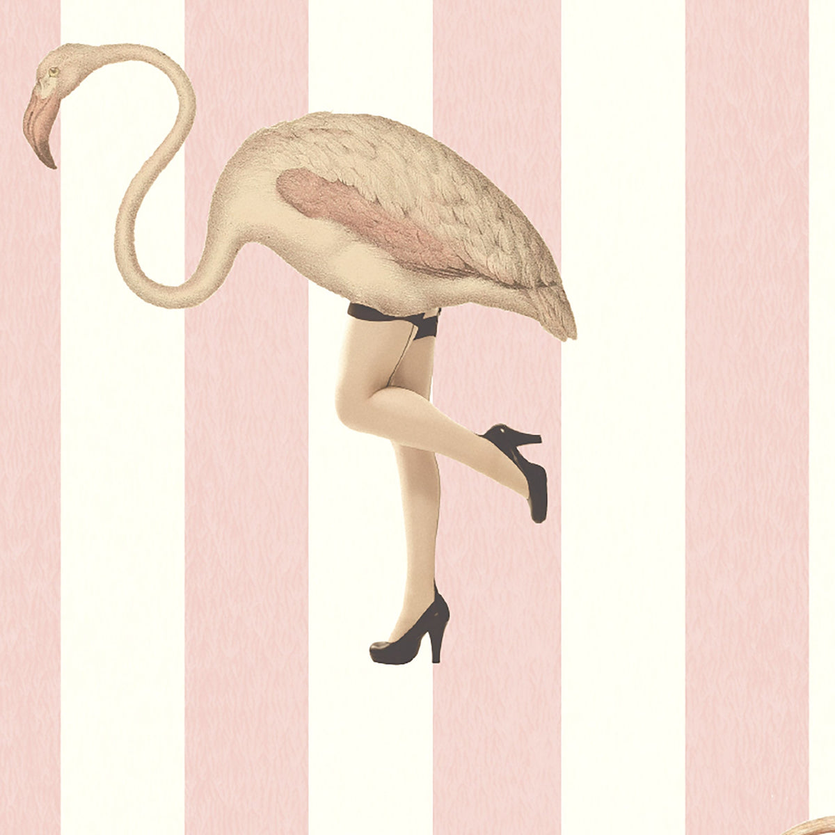 Marilyn Baby Pink Stripe Wallpaper