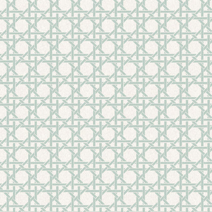 Rattan Duck Egg Wallpaper