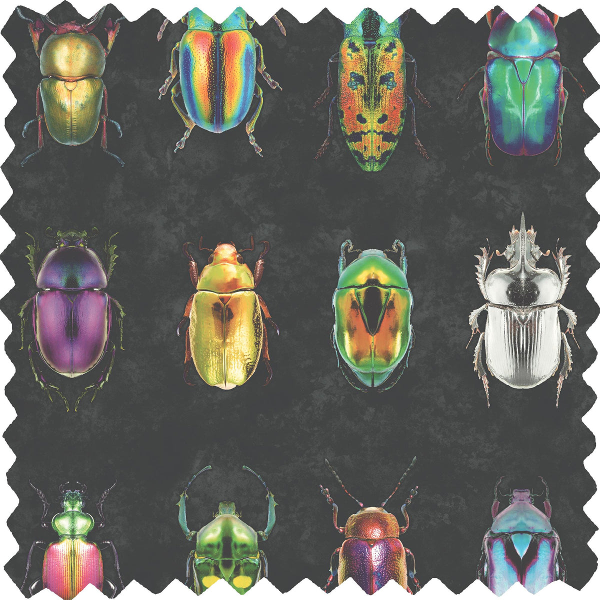 Beetle Jewels Multi Black Linen Fabric