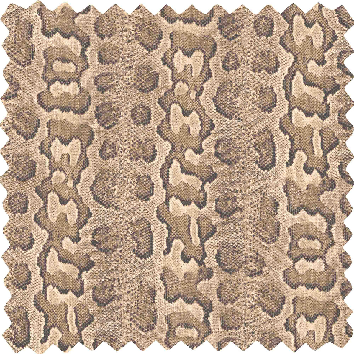 Love Her Madly in Python Velvet Fabric