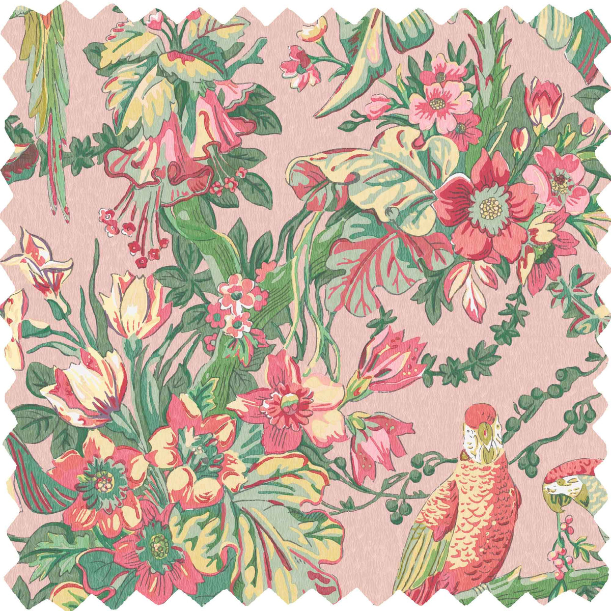 Parrot Talk Sunset Pink Velvet Fabric