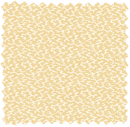Rubigo Butterscotch Velvet Fabric
