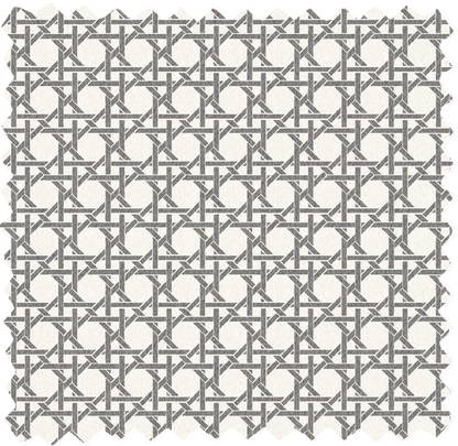 Rattan Mono Linen Fabric
