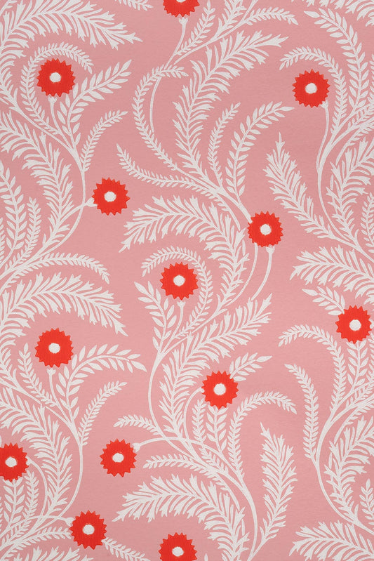 Wild Daisy Wallpaper by Studio Atkinson in Pink
