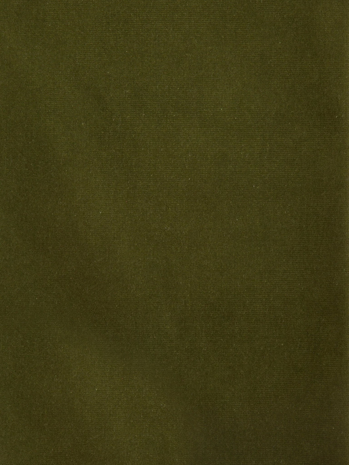 Aria Fabric by Holland & Sherry in Olive