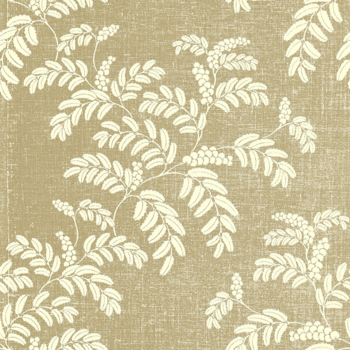 Acacia Wallpaper by Langelid Von Bromssen in Chino Beige