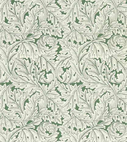 Acanthus Wallpaper by Clarke & Clarke Sage