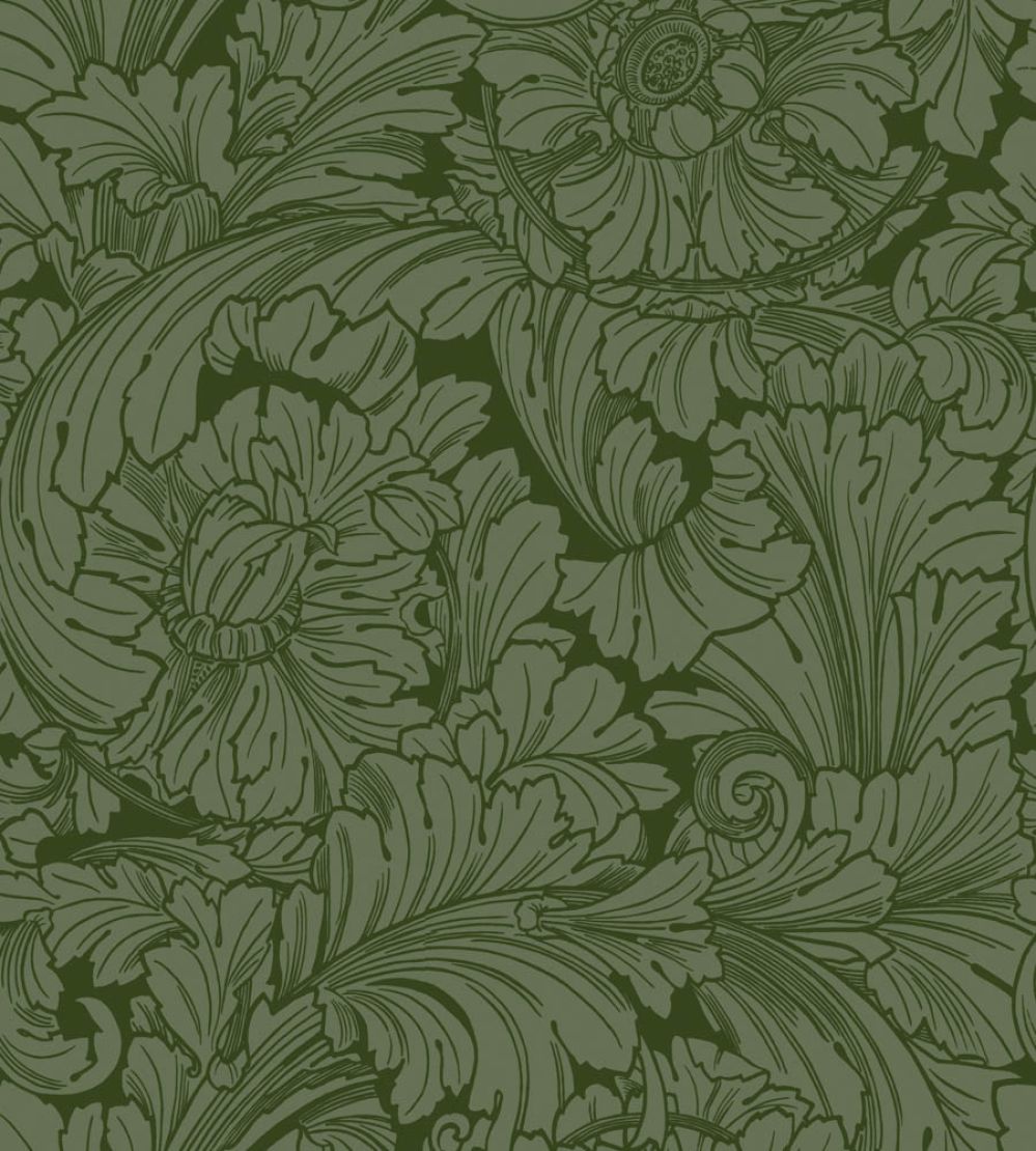 Acanthus Wallpaper by Cole & Son Forest