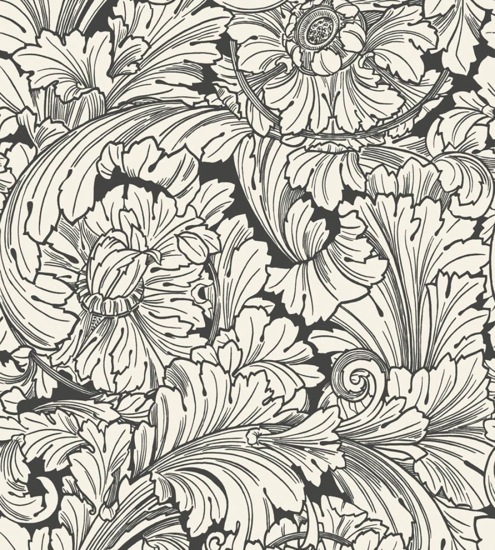 Acanthus Wallpaper by Cole & Son Soot & Snow
