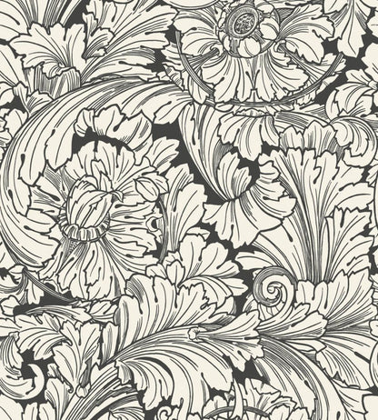 Acanthus Wallpaper by Cole & Son Soot & Snow