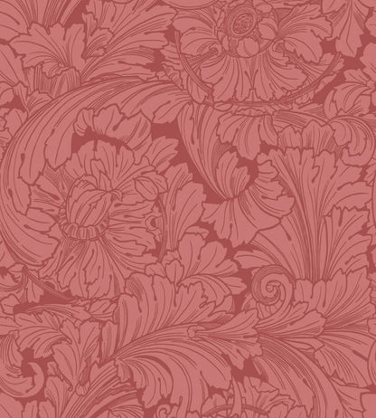 Acanthus Wallpaper by Cole & Son Stately Home Red