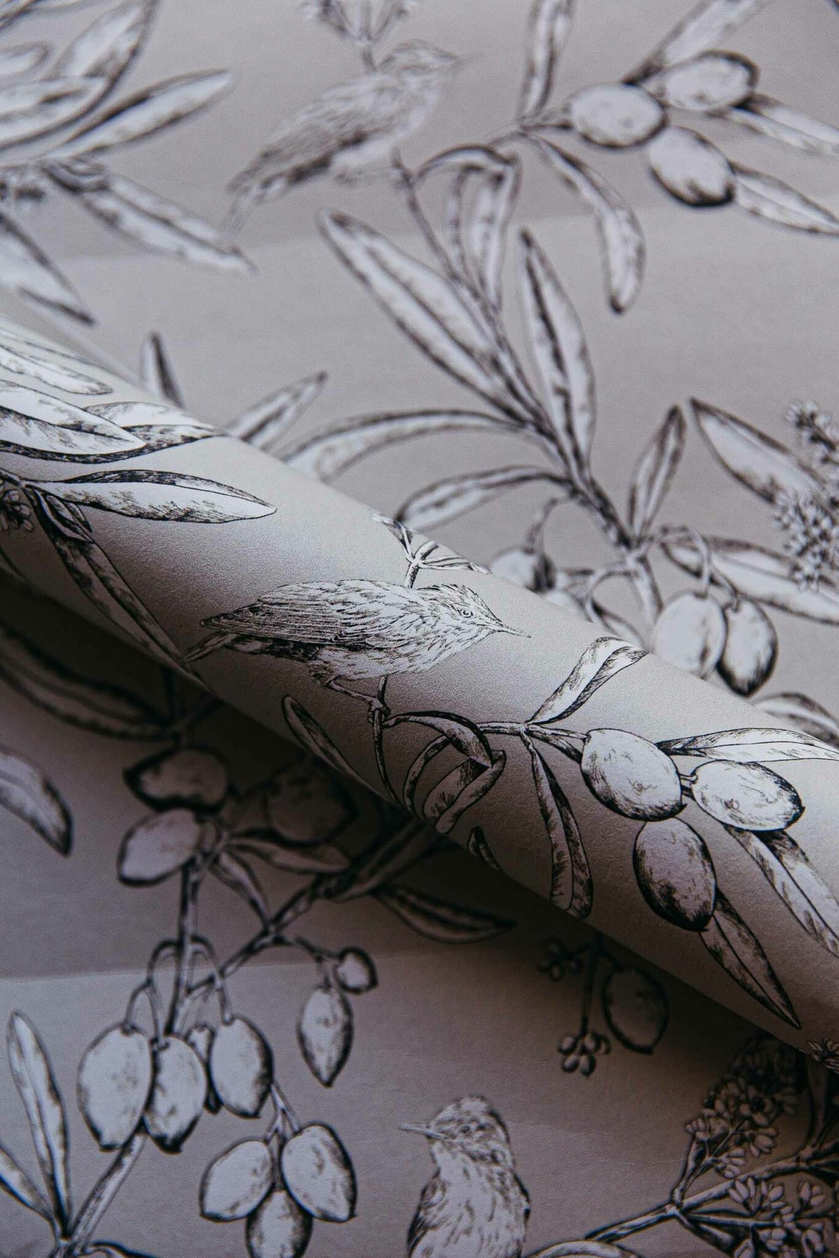 Aceituna wallpaper by Coordonné in Arroz/Beige, shown in a styled room