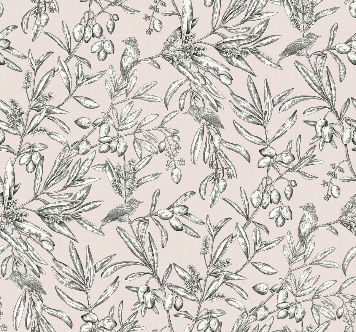 Aceituna wallpaper by Coordonné in Cava/Rosa, flat pattern view