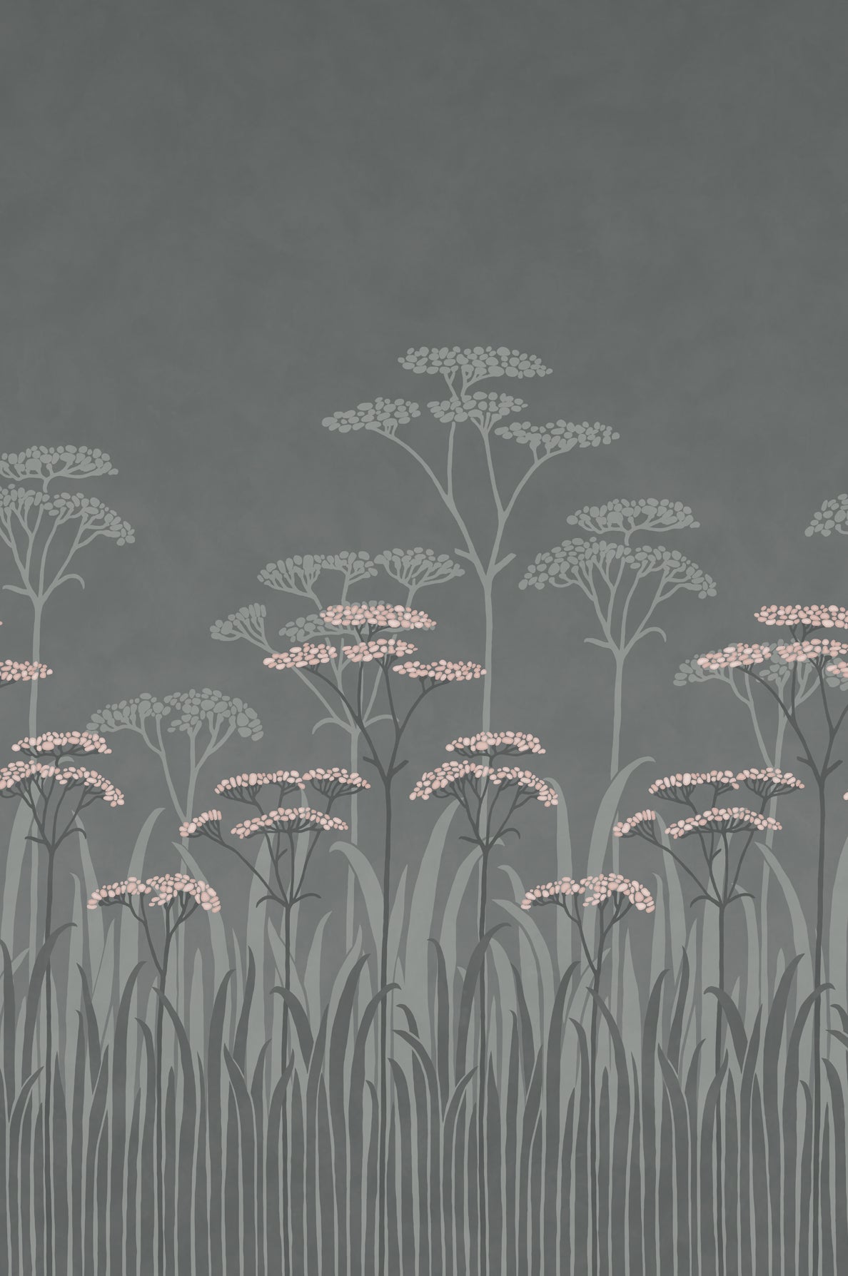 Achillea mural by Little Greene in Twilight