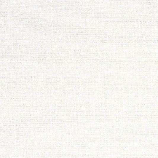 Adria Fabric by Thibaut in Salt (W8791)