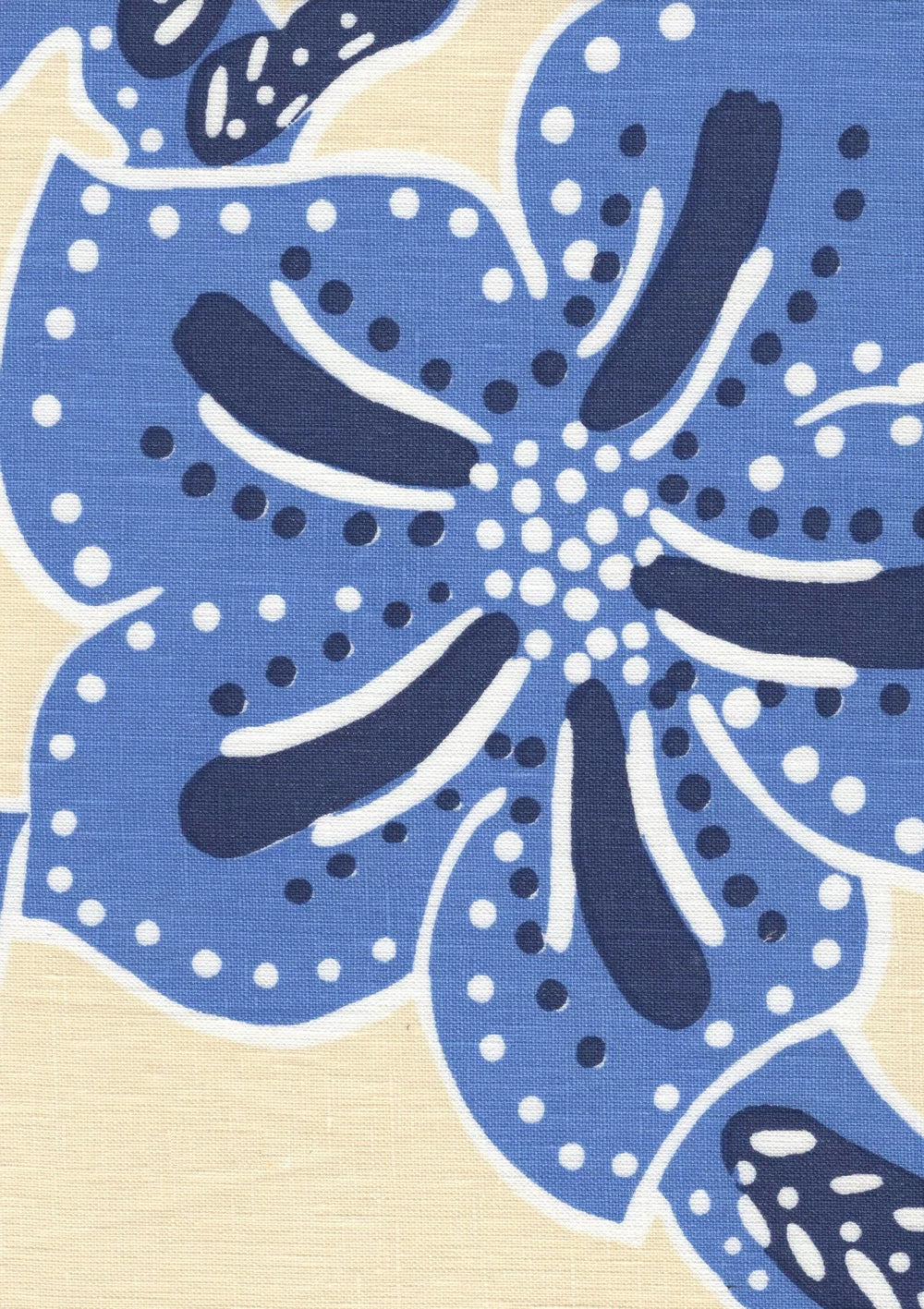 Albany Two Color Multi Blues on Cream fabric by Alan Campbell