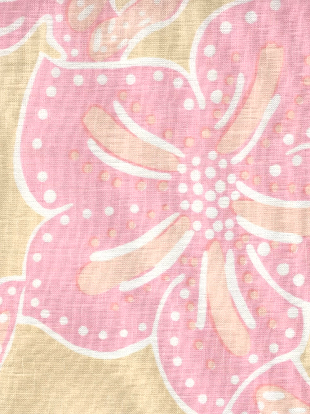 Albany Two Color Multi Pinks on Cream fabric by Alan Campbell