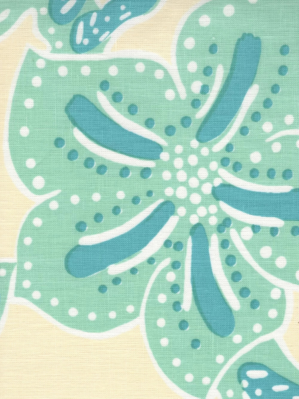 Albany Two Color Multi Aquas on Cream fabric by Alan Campbell