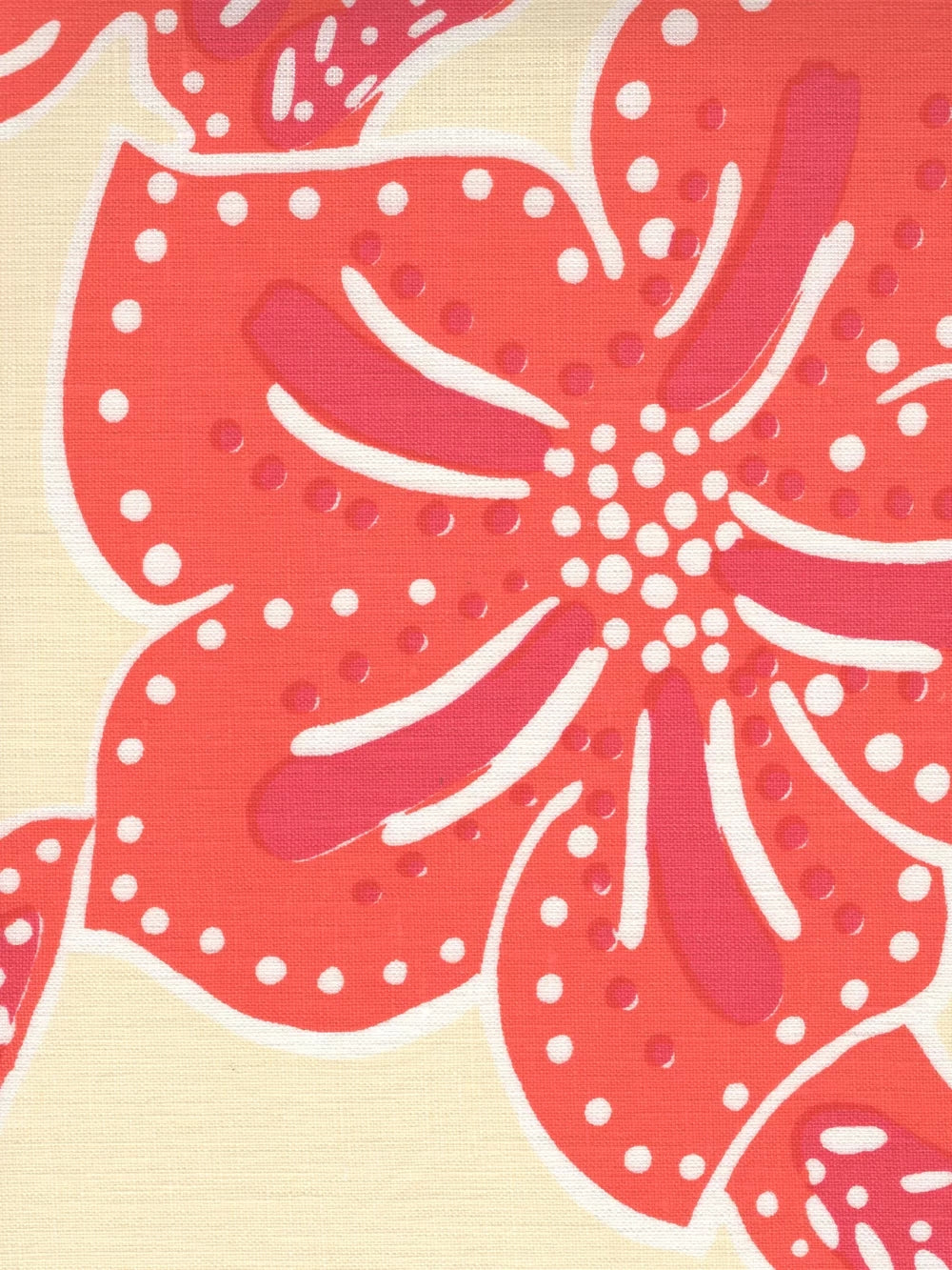 Albany Two Color Magenta Orange on Cream fabric by Alan Campbell