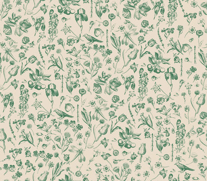 Almanach Asparagus mural by Bien Fait