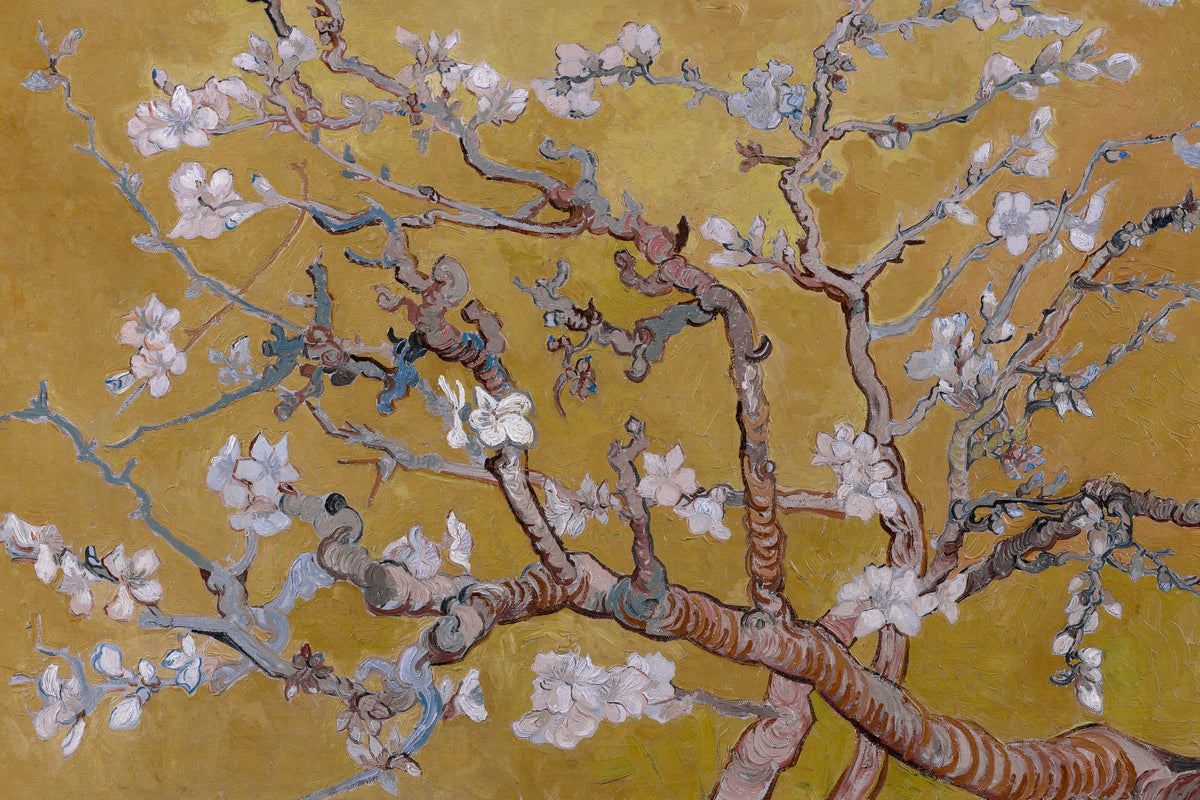 Almond Yellow mural by Hovia