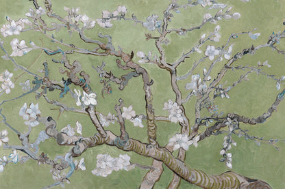 Almond Branches Green mural by Hovia