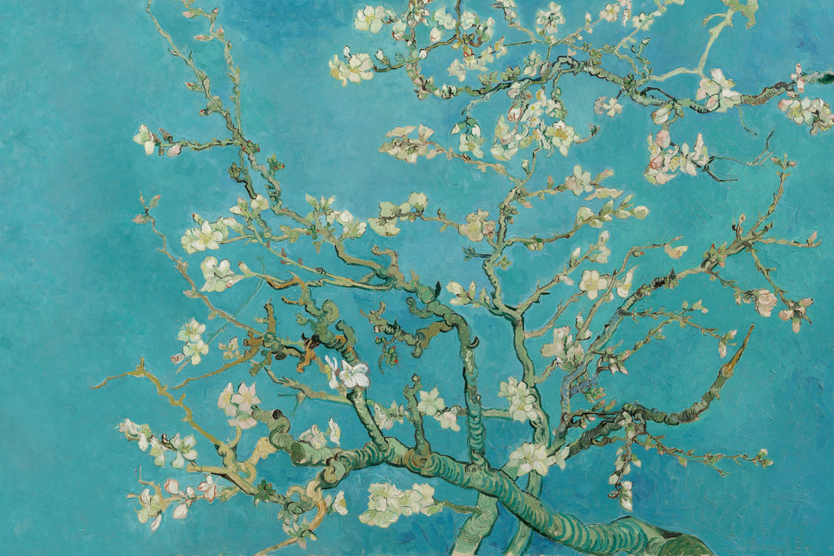 Almond Original mural by Hovia