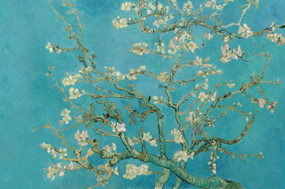 Almond Original mural by Hovia