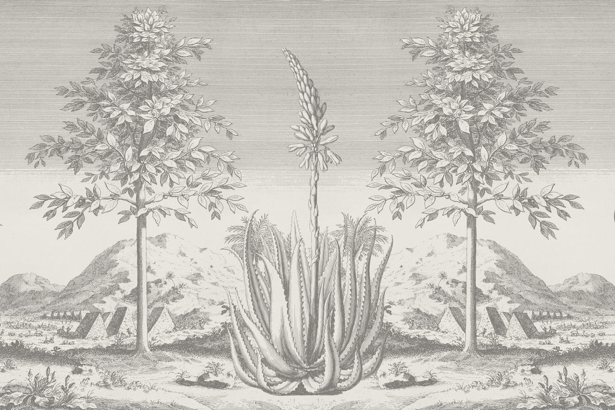 Aloe Grey mural by Hovia