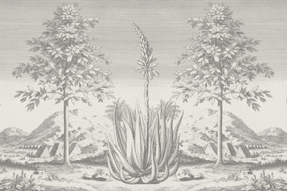 Aloe Grey mural by Hovia