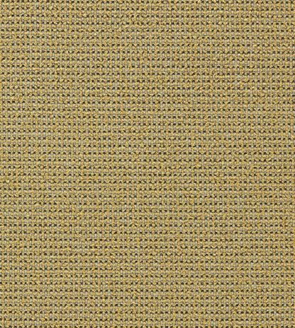 Altan Fabric by Harlequin Nectar/Ivory