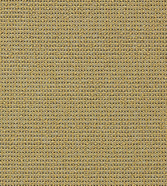 Altan Fabric by Harlequin Nectar/Ivory