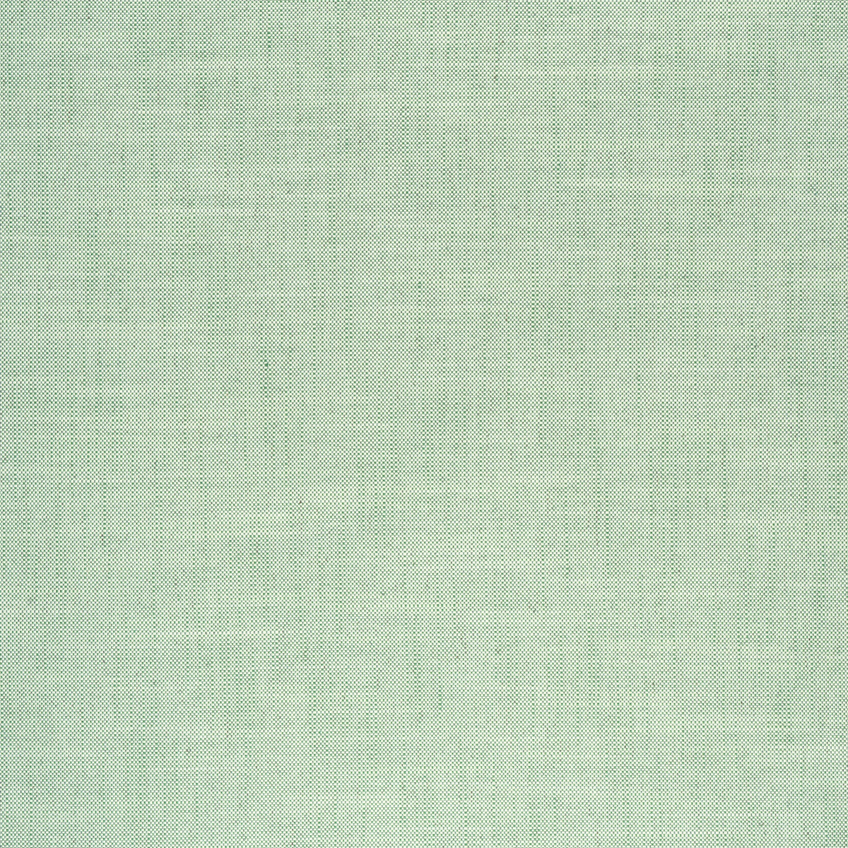Ambient Fabric by Thibaut in Kelly (W75209)
